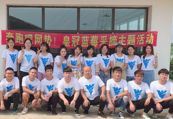 【奔跑吧網(wǎng)勢(shì)！】藍(lán)莓采摘主題團(tuán)建活動(dòng)